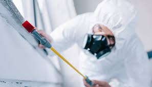 Best Commercial Pest Control  in Woodlawn Beach, FL